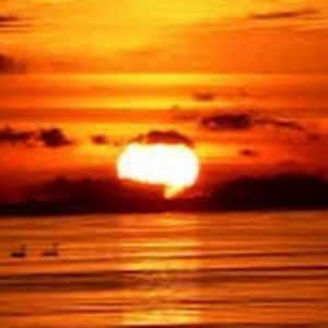 Meet your Posher, Houda